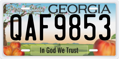 GA license plate QAF9853