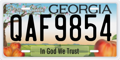 GA license plate QAF9854