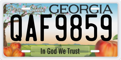 GA license plate QAF9859