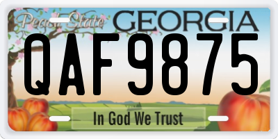 GA license plate QAF9875