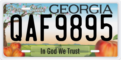 GA license plate QAF9895