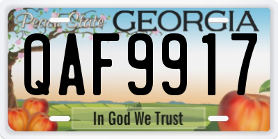 GA license plate QAF9917