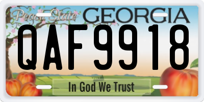 GA license plate QAF9918
