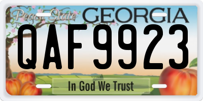 GA license plate QAF9923