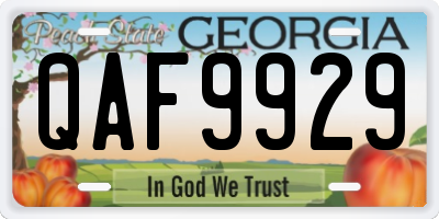 GA license plate QAF9929