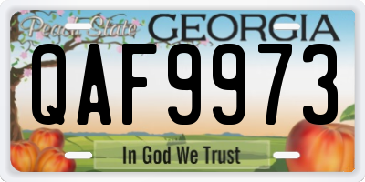 GA license plate QAF9973