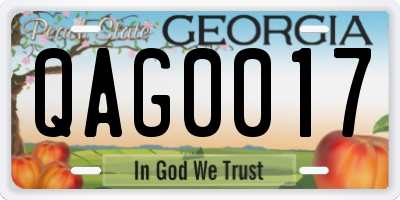 GA license plate QAG0017