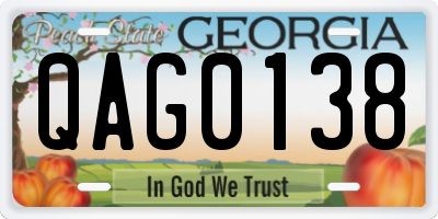 GA license plate QAG0138