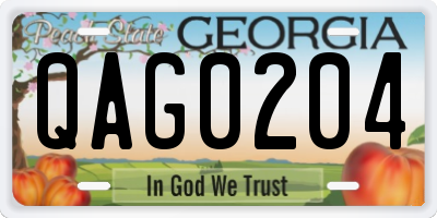 GA license plate QAG0204
