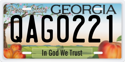 GA license plate QAG0221