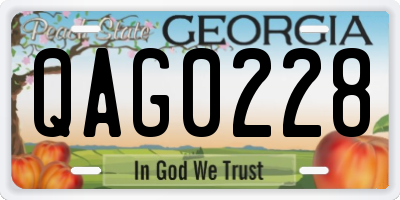 GA license plate QAG0228