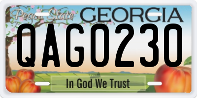 GA license plate QAG0230