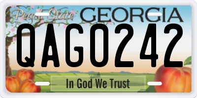 GA license plate QAG0242