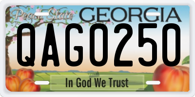 GA license plate QAG0250