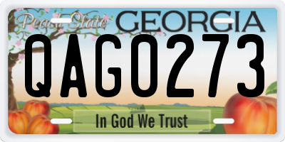 GA license plate QAG0273