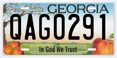 GA license plate QAG0291