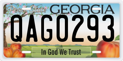 GA license plate QAG0293