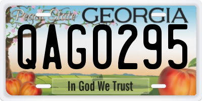 GA license plate QAG0295