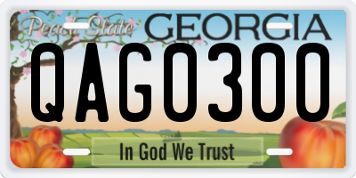 GA license plate QAG0300