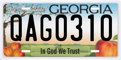 GA license plate QAG0310