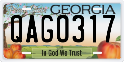 GA license plate QAG0317