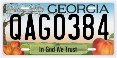 GA license plate QAG0384