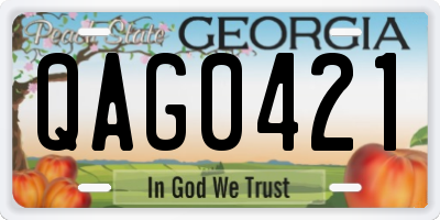 GA license plate QAG0421