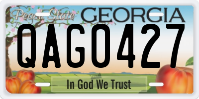 GA license plate QAG0427