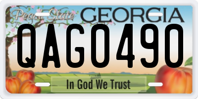 GA license plate QAG0490