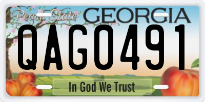 GA license plate QAG0491