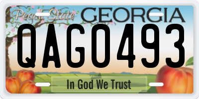 GA license plate QAG0493