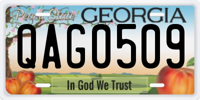 GA license plate QAG0509