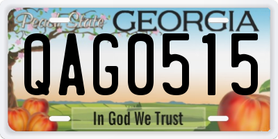 GA license plate QAG0515