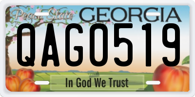 GA license plate QAG0519