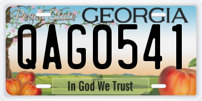 GA license plate QAG0541