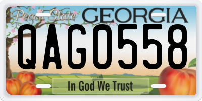 GA license plate QAG0558