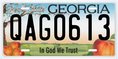 GA license plate QAG0613