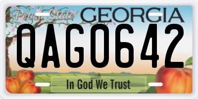 GA license plate QAG0642