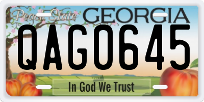 GA license plate QAG0645
