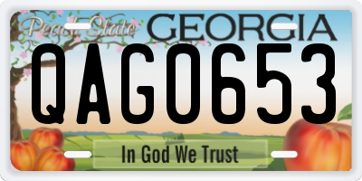 GA license plate QAG0653