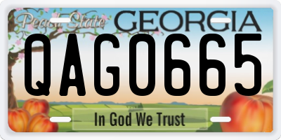 GA license plate QAG0665