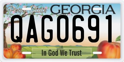 GA license plate QAG0691