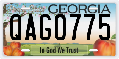 GA license plate QAG0775
