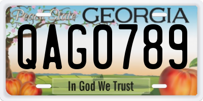 GA license plate QAG0789