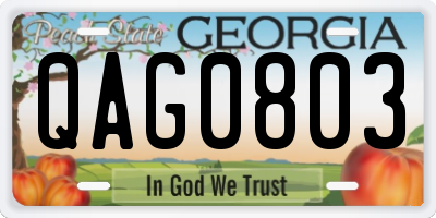GA license plate QAG0803