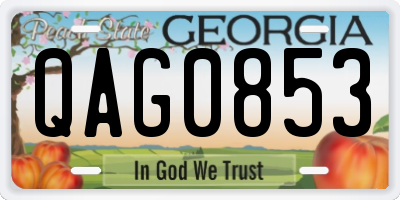 GA license plate QAG0853