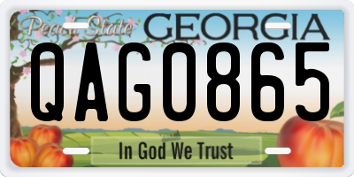 GA license plate QAG0865