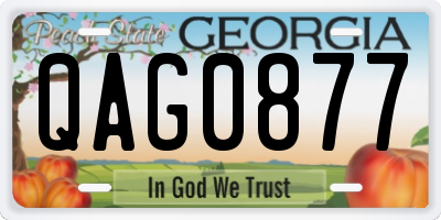 GA license plate QAG0877