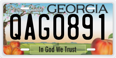 GA license plate QAG0891