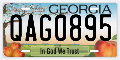 GA license plate QAG0895